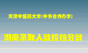 天津中医药大学在湖南历年招生计划录取人数投档分数