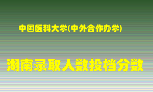 中国医科大学在湖南历年招生计划录取人数投档分数