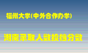 福州大学在湖南历年招生计划录取人数投档分数