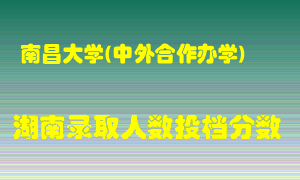 南昌大学在湖南历年招生计划录取人数投档分数