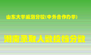 山东大学威海分校在湖南历年招生计划录取人数投档分数