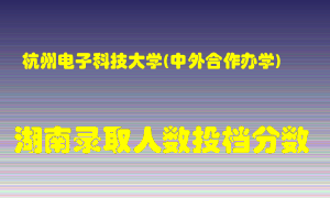 杭州电子科技大学在湖南历年招生计划录取人数投档分数