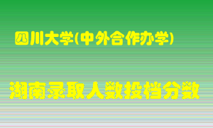 四川大学在湖南历年招生计划录取人数投档分数