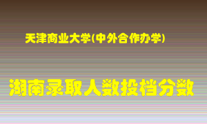 天津商业大学在湖南历年招生计划录取人数投档分数