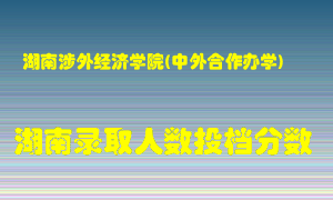 湖南涉外经济学院在湖南历年招生计划录取人数投档分数