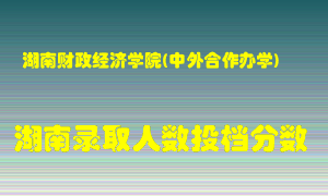 湖南财政经济学院在湖南历年招生计划录取人数投档分数