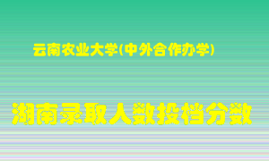 云南农业大学在湖南历年招生计划录取人数投档分数