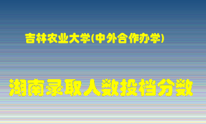 吉林农业大学在湖南历年招生计划录取人数投档分数