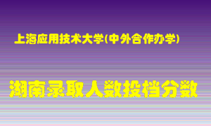 上海应用技术大学在湖南历年招生计划录取人数投档分数