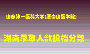 山东第一医科大学在湖南历年招生计划录取人数投档分数