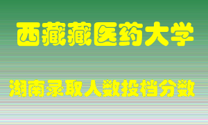 西藏藏医药大学在湖南历年招生计划录取人数投档分数