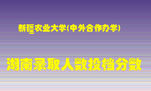 新疆农业大学在湖南历年招生计划录取人数投档分数