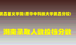 武昌首义学院在湖南历年招生计划录取人数投档分数