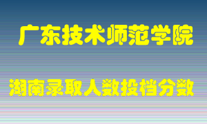 广东技术师范学院在湖南历年招生计划录取人数投档分数