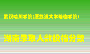 武汉晴川学院在湖南历年招生计划录取人数投档分数