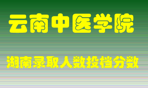 云南中医学院在湖南历年招生计划录取人数投档分数