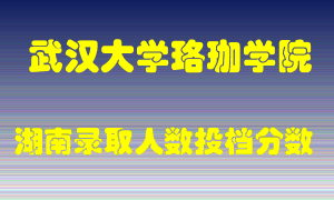 武汉大学珞珈学院在湖南历年招生计划录取人数投档分数