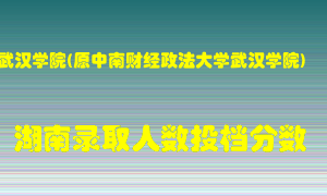 武汉学院在湖南历年招生计划录取人数投档分数