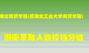 湖北商贸学院在湖南历年招生计划录取人数投档分数