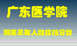 广东医学院在湖南历年招生计划录取人数投档分数