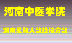 河南中医学院在湖南历年招生计划录取人数投档分数