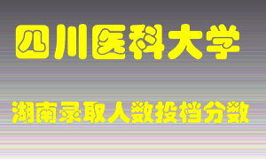 四川医科大学在湖南历年招生计划录取人数投档分数