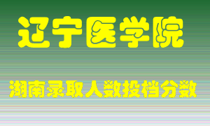 辽宁医学院在湖南历年招生计划录取人数投档分数