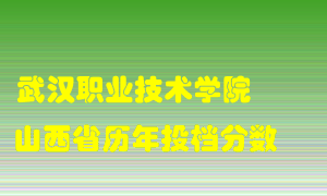 
武汉职业技术学院
在山西历年录取分数