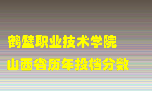 
鹤壁职业技术学院
在山西历年录取分数