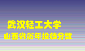 
武汉轻工大学
在山西历年录取分数