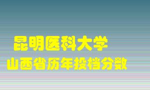 
昆明医科大学
在山西历年录取分数