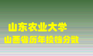 
山东农业大学
在山西历年录取分数