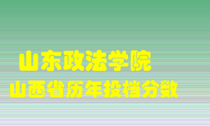 
山东政法学院
在山西历年录取分数