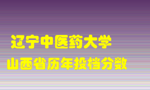 
辽宁中医药大学
在山西历年录取分数