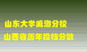 
山东大学威海分校
在山西历年录取分数