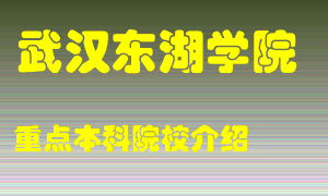 武汉东湖学院怎么样，武汉东湖学院排多少名