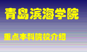 青岛滨海学院怎么样，青岛滨海学院排多少名