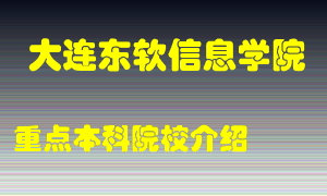 大连东软信息学院怎么样，大连东软信息学院排多少名