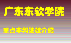 广东东软学院怎么样，广东东软学院排多少名