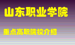 山东职业学院怎么样，山东职业学院排多少名