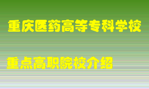 重庆医药高等专科学校怎么样，重庆医药高等专科学校排多少名