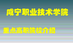 咸宁职业技术学院怎么样，咸宁职业技术学院排多少名