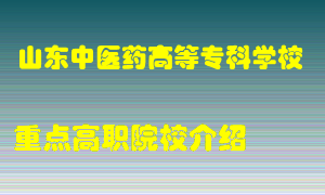 山东中医药高等专科学校怎么样，山东中医药高等专科学校排多少名