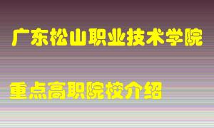 广东松山职业技术学院怎么样，广东松山职业技术学院排多少名