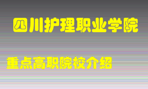 四川护理职业学院怎么样，四川护理职业学院排多少名