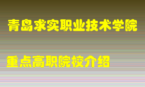 青岛求实职业技术学院怎么样，青岛求实职业技术学院排多少名