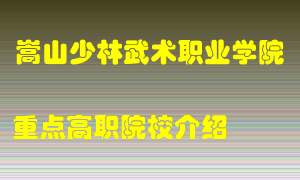 嵩山少林武术职业学院怎么样，嵩山少林武术职业学院排多少名