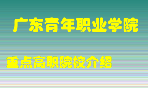 广东青年职业学院怎么样，广东青年职业学院排多少名