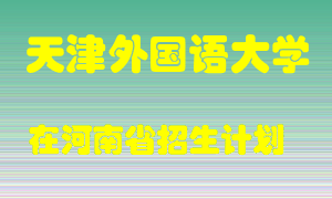 天津外国语大学2022年在河南招生计划录取人数