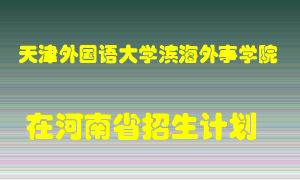 天津外国语大学滨海外事学院2022年在河南招生计划录取人数